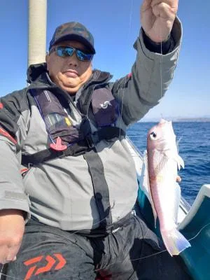 2024年3月3日の釣果・お知らせの写真