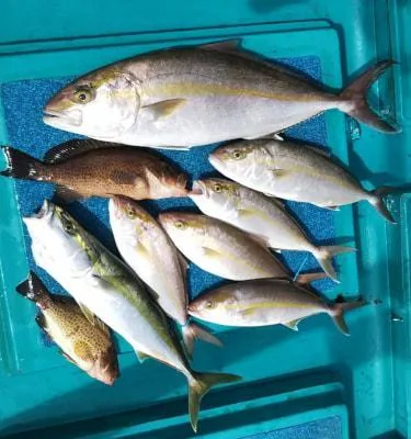 2019年9月29日の釣果・お知らせの写真 7