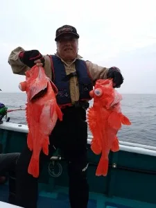 2017年5月31日の釣果・お知らせの写真 3