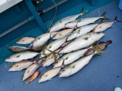 2022年12月17日の釣果・お知らせの写真 4