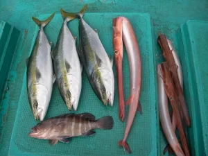 2009年11月21日の釣果・お知らせの写真 6