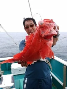 2017年5月31日の釣果・お知らせの写真 5