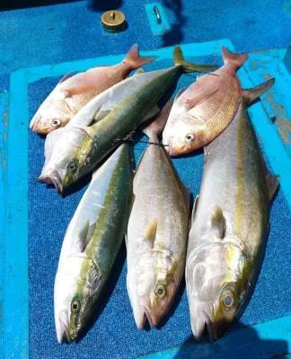 2025年7月28日の釣果・お知らせの写真 3
