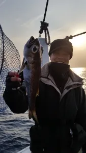 2017年1月30日の釣果・お知らせの写真 2
