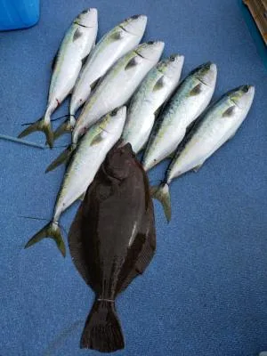 2020年3月22日の釣果・お知らせの写真 2