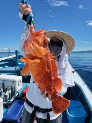 2022年7月2日の釣果・お知らせの写真