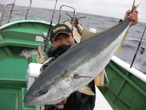 2010年6月8日の釣果・お知らせの写真