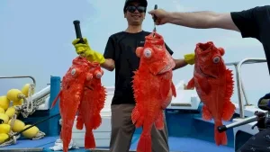 2016年5月22日の釣果・お知らせの写真 9