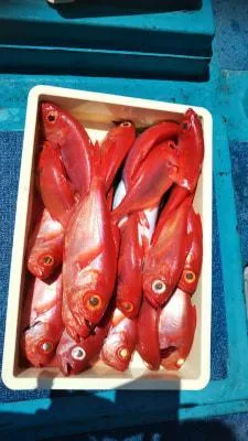 2018年4月19日の釣果・お知らせの写真 3