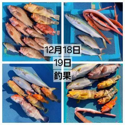 2025年12月27日の釣果・お知らせの写真