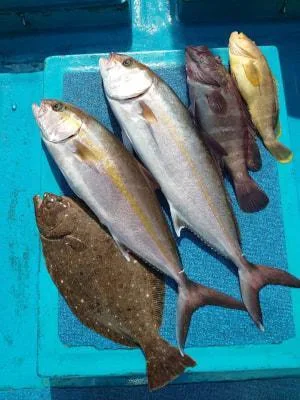 2024年7月9日の釣果・お知らせの写真 5