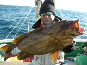 2009年1月25日の釣果・お知らせの写真 2