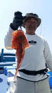 2017年6月3日の釣果・お知らせの写真 4