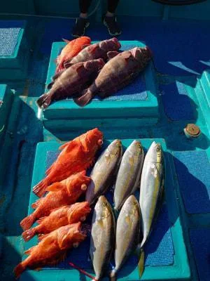 2022年11月6日の釣果・お知らせの写真 6