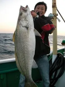 2008年12月12日の釣果・お知らせの写真