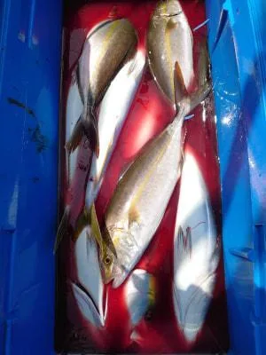 2021年9月9日の釣果・お知らせの写真 4