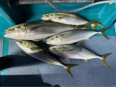 2021年10月8日の釣果・お知らせの写真 4