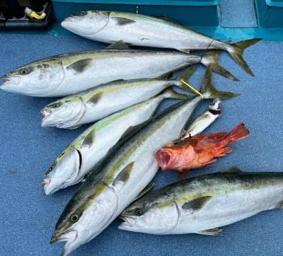 2022年5月21日の釣果・お知らせの写真 4