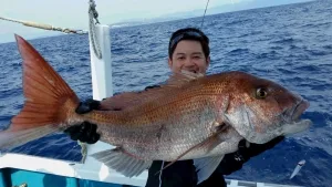 2016年8月1日の釣果・お知らせの写真 2