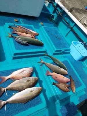2023年10月7日の釣果・お知らせの写真 3