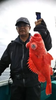 2018年5月26日の釣果・お知らせの写真