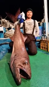2014年11月8日の釣果・お知らせの写真