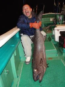 2008年4月26日の釣果・お知らせの写真
