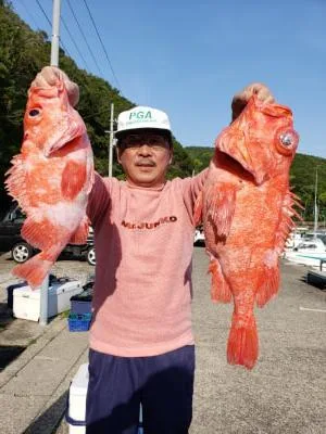 2019年5月4日の釣果・お知らせの写真