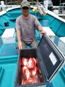 2017年7月28日の釣果・お知らせの写真