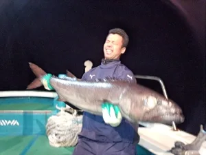 2013年11月16日の釣果・お知らせの写真 2