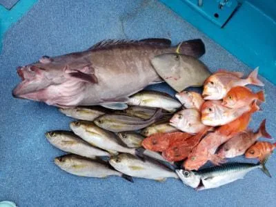 2022年3月11日の釣果・お知らせの写真 2