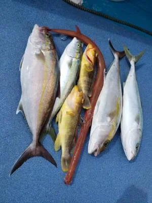 2021年11月6日の釣果・お知らせの写真 7