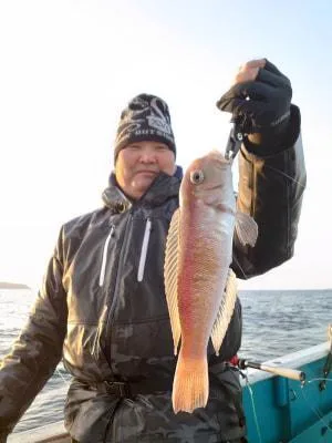 2024年3月3日の釣果・お知らせの写真 4
