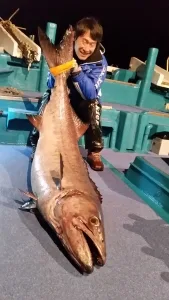 2017年1月6日の釣果・お知らせの写真 2