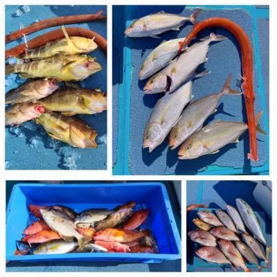 2025年12月14日の釣果・お知らせの写真 5