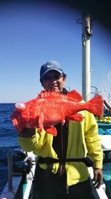 2019年5月9日の釣果・お知らせの写真 3