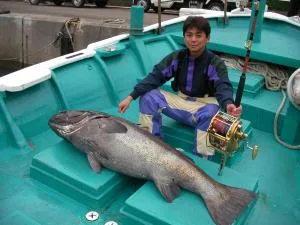 2008年11月11日の釣果・お知らせの写真