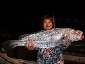 2008年12月3日の釣果・お知らせの写真 3