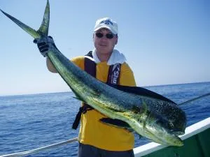 2006年7月28日の釣果・お知らせの写真