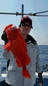 2016年5月23日の釣果・お知らせの写真 3