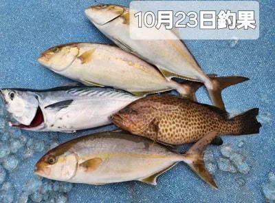 2024年10月25日の釣果・お知らせの写真 8