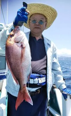 2019年7月31日の釣果・お知らせの写真