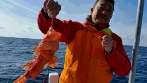 2016年12月8日の釣果・お知らせの写真 4