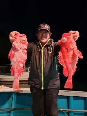 2018年12月1日の釣果・お知らせの写真