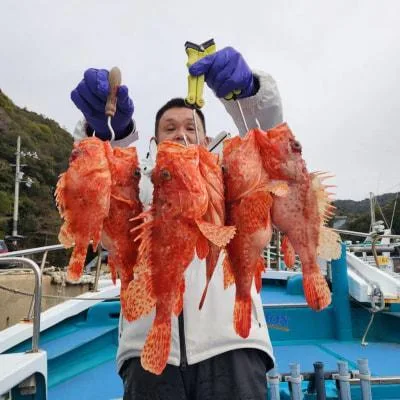 2025年2月12日の釣果・お知らせの写真