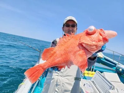 2023年5月12日の釣果・お知らせの写真