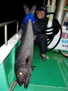 2006年12月16日の釣果・お知らせの写真