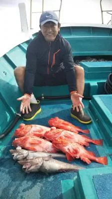 2019年5月9日の釣果・お知らせの写真 2