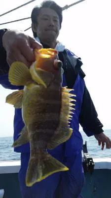 2018年4月3日の釣果・お知らせの写真 2