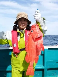 2017年5月28日の釣果・お知らせの写真